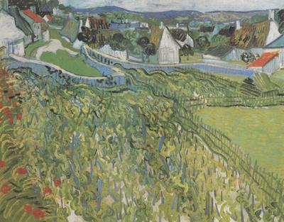 Vincent Van Gogh Vineyard with a View of Auvers (nn04) France oil painting art